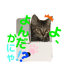 吾郎です。（個別スタンプ：3）