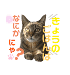 吾郎です。（個別スタンプ：4）