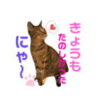 吾郎です。（個別スタンプ：6）