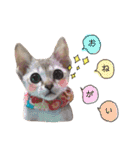 Jill＆Belle2020（個別スタンプ：5）