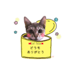 Jill＆Belle2020（個別スタンプ：6）