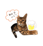 Jill＆Belle2020（個別スタンプ：14）