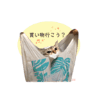Jill＆Belle2020（個別スタンプ：15）