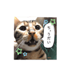 Jill＆Belle2020（個別スタンプ：18）