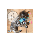Jill＆Belle2020（個別スタンプ：20）