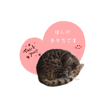 Jill＆Belle2020（個別スタンプ：21）
