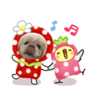 ペキニーズでスタンプ6（個別スタンプ：4）
