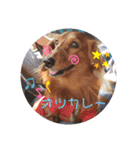 buddy＆riku（個別スタンプ：1）