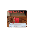 buddy＆riku（個別スタンプ：5）