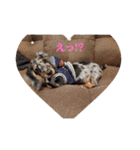 buddy＆riku（個別スタンプ：7）