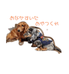 buddy＆riku（個別スタンプ：8）