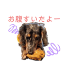 buddy＆riku（個別スタンプ：14）