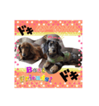 buddy＆riku（個別スタンプ：16）