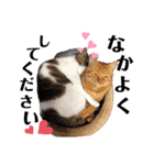 保護っこ（個別スタンプ：12）
