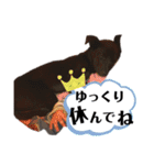 保護っこ（個別スタンプ：19）