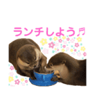 takechiyo ＆aoi（個別スタンプ：6）