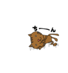 猫タロウさん（個別スタンプ：5）
