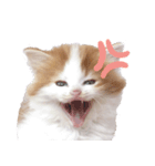 ちくわのすたんぷだよ（個別スタンプ：3）