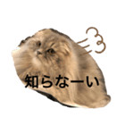 ぼくジェラ⭐︎⭐︎（個別スタンプ：12）