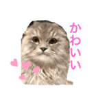 ぼくジェラ⭐︎⭐︎（個別スタンプ：14）