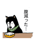 黒柴、ジャックの日常。（個別スタンプ：3）