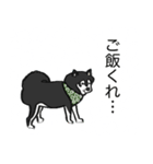 黒柴、ジャックの日常。（個別スタンプ：7）