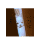 べび1⃣（個別スタンプ：5）