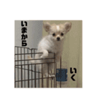 べび1⃣（個別スタンプ：9）