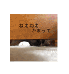 べび1⃣（個別スタンプ：26）