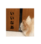 べび1⃣（個別スタンプ：29）