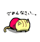 アカネコ（個別スタンプ：5）