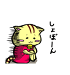 アカネコ（個別スタンプ：16）
