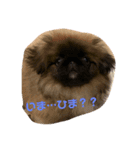 ココ2.（個別スタンプ：6）