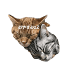 @ねこRGai（個別スタンプ：4）