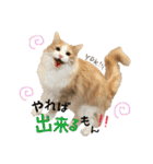 むぎてんファミリー2（個別スタンプ：14）