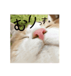 むぎてんファミリー2（個別スタンプ：18）