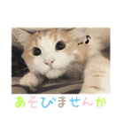 むぎてんファミリー2（個別スタンプ：27）