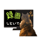 むぎてんファミリー2（個別スタンプ：37）