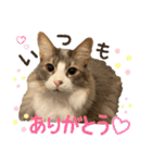 むぎてんファミリー2（個別スタンプ：38）
