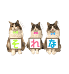 むぎてんファミリー2（個別スタンプ：40）