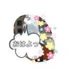 桜文鳥のるうくん普段使いのスタンプ（個別スタンプ：8）