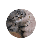 ねこのりりちゃん（個別スタンプ：4）