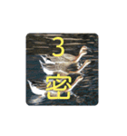 すずめと愉快な野鳥たち（個別スタンプ：28）