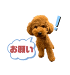 デカプー茶豆くんのスタンプ②（個別スタンプ：10）