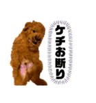 デカプー茶豆くんのスタンプ②（個別スタンプ：22）