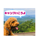 デカプー茶豆くんのスタンプ②（個別スタンプ：23）