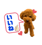 デカプー茶豆くんのスタンプ②（個別スタンプ：29）