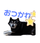 こてつなスタンプ（個別スタンプ：3）