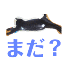 こてつなスタンプ（個別スタンプ：23）