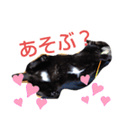こてつなスタンプ（個別スタンプ：25）
